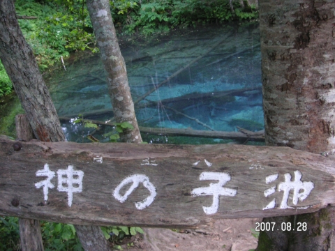 s_PICT0365.jpg